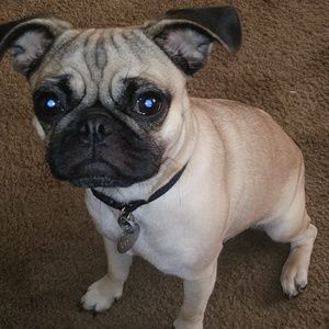 Meet your Posher, Mark